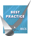 2_Best Practice IBCS